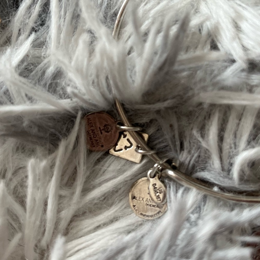 Alex and Ani United bracelet - Picture 2 of 3